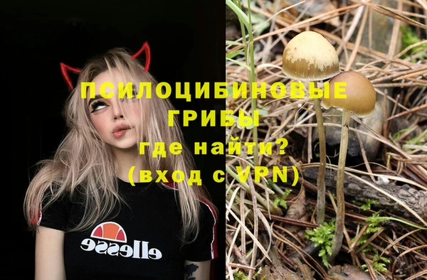 экстази Няндома