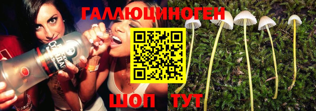 Псилоцибиновые грибы Cubensis  Псилоцибиновые грибы Magic Shrooms  Асбест 